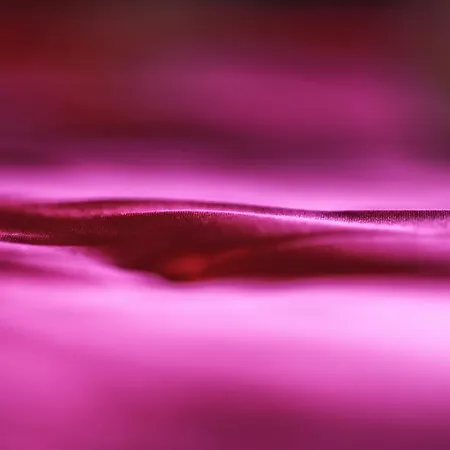 第十六朵玫瑰公寓 里昂