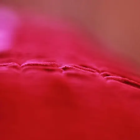 第十六朵玫瑰公寓 公寓